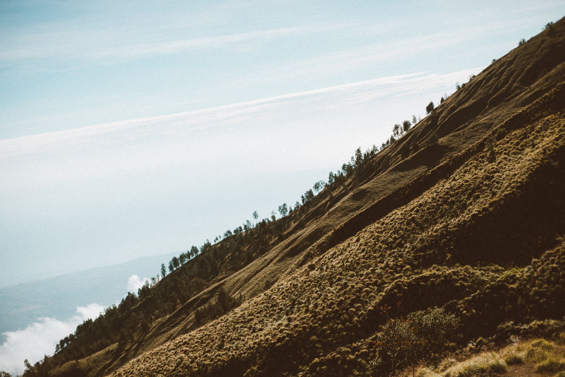 Picturesque steep slope of mountain covered by grass and trees against blue sky