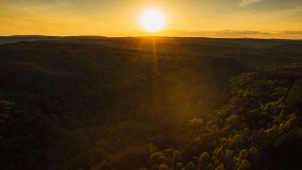 Picturesque drone view of bright sun on horizon evening sky above lush dark green forest