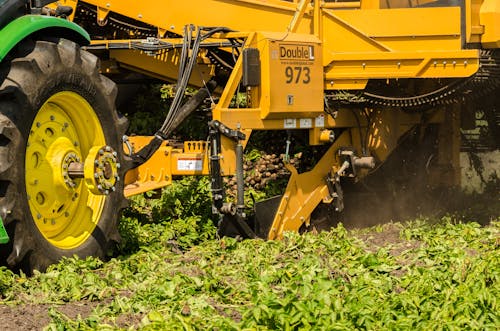 Yellow Heavy Equipment on Ground with green Leaves