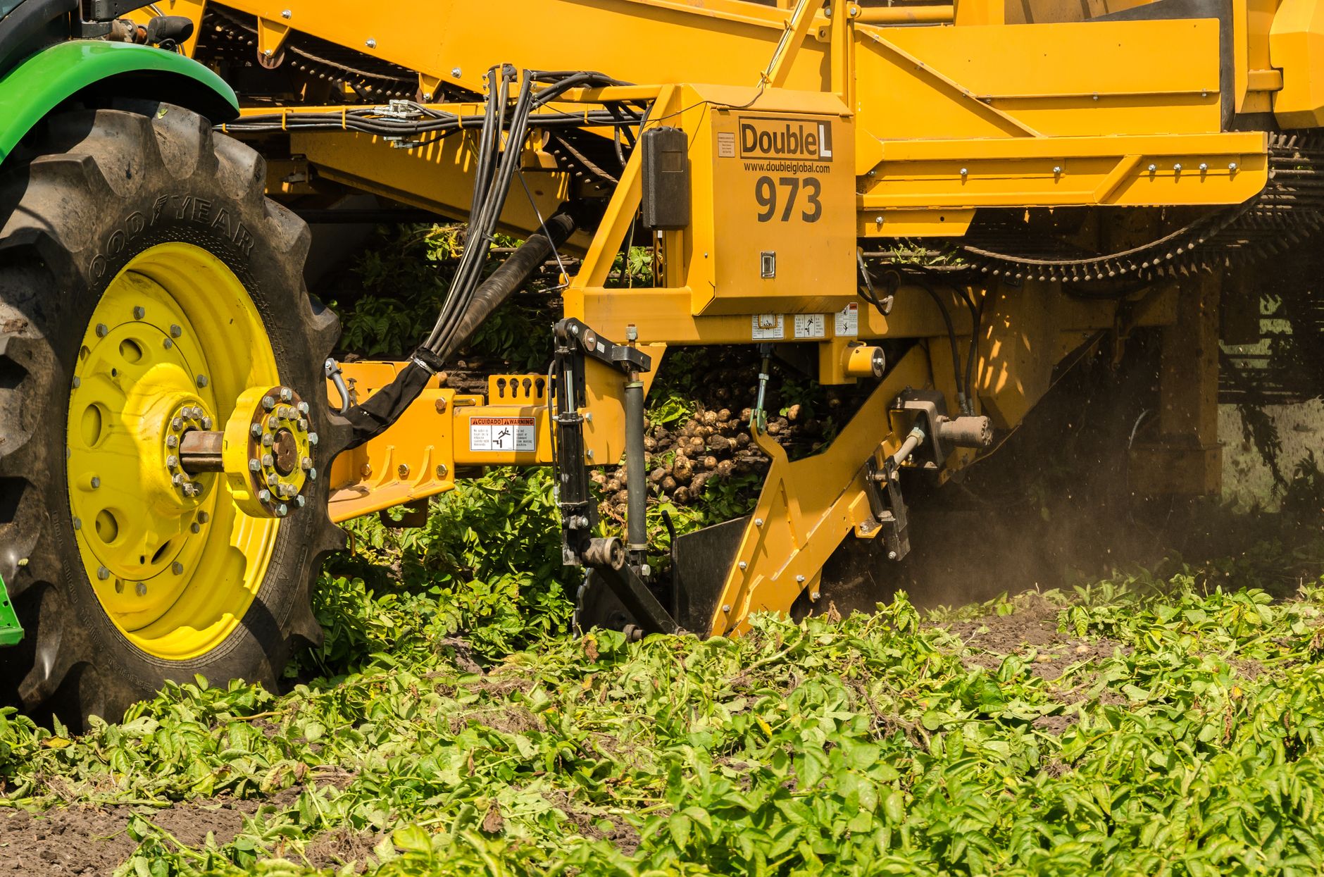 Why Is Your Potato Bill Getting So Complicated?