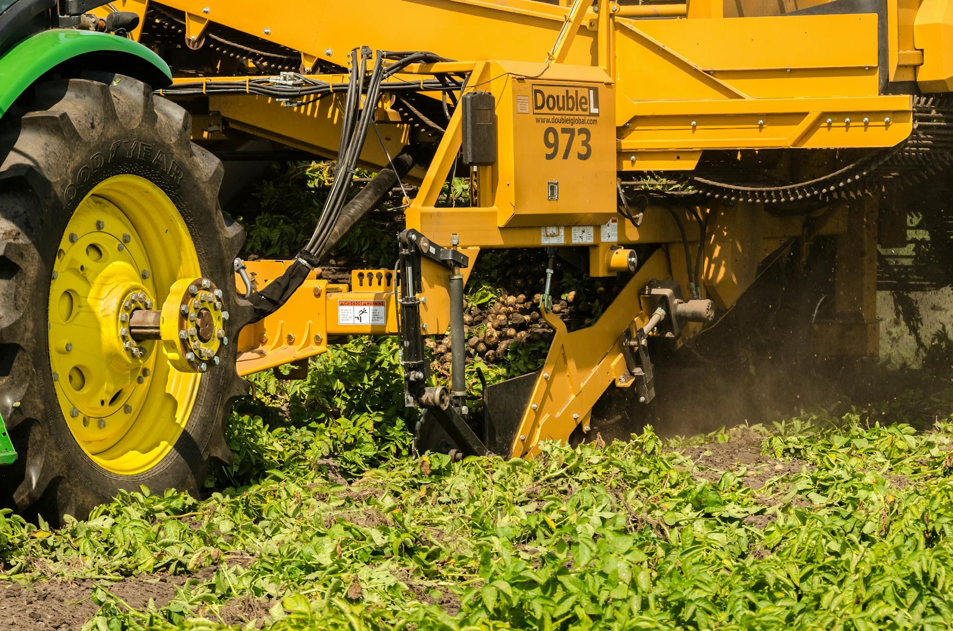 Yellow potato harvester machine working on a farm, harvesting potatoes on a sunny day.