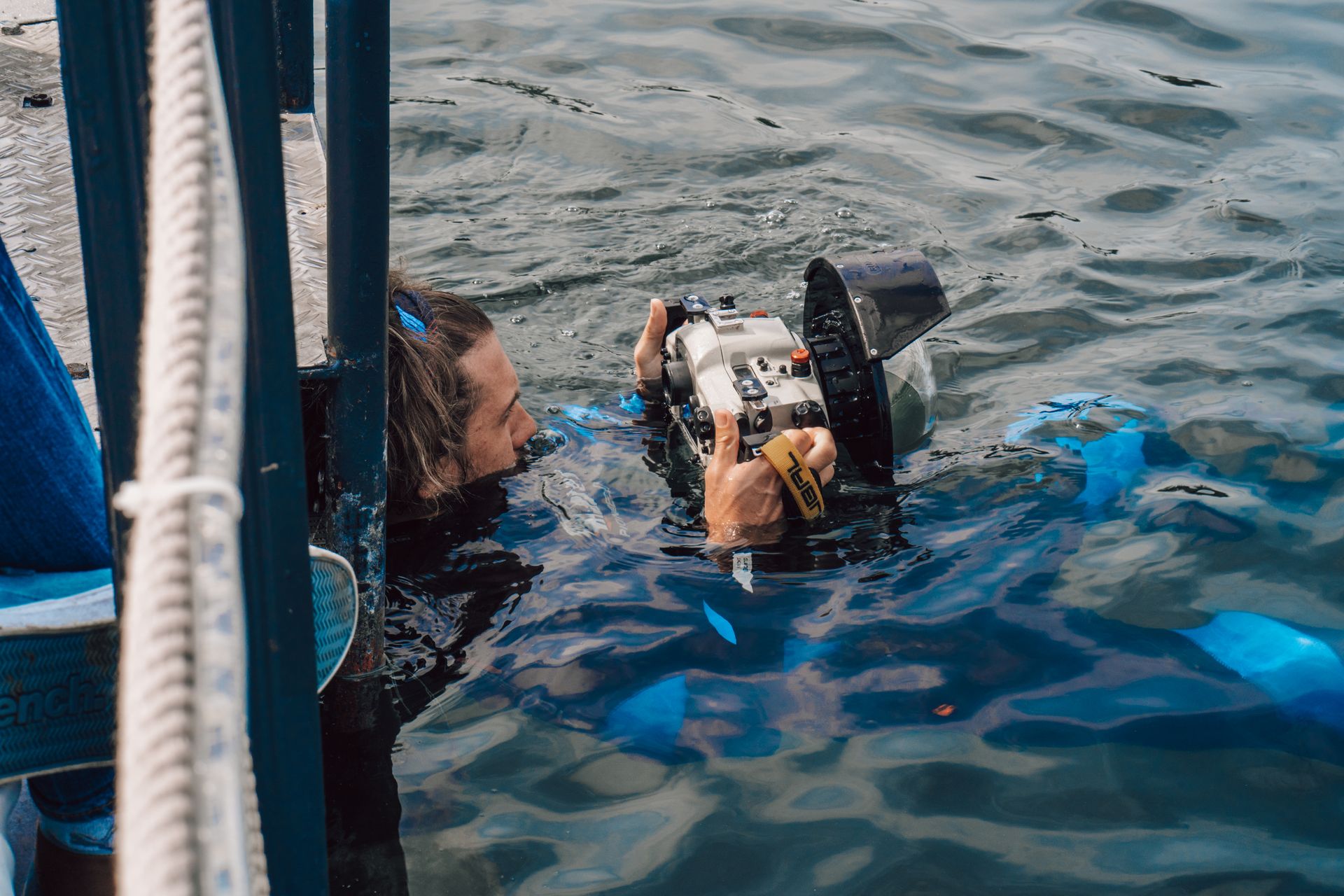 Underwater at Neptune Islands North (Cage Diving)