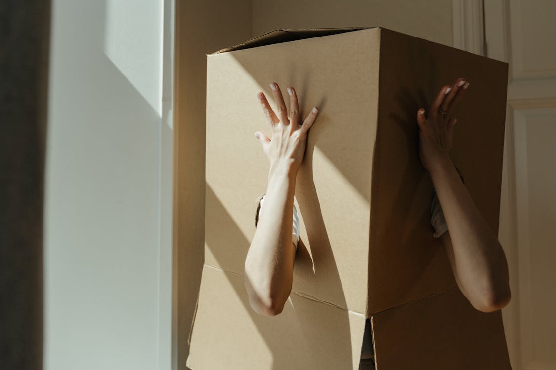 Person Holding Brown Cardboard Box · Free Stock Photo