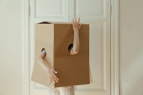 Woman in Brown Dress Holding Brown Cardboard Box