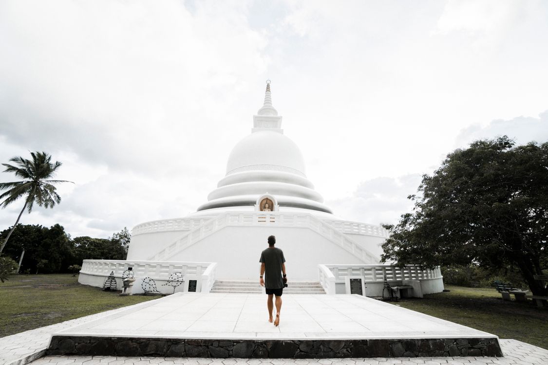 10,000+ Best Lotus Tower Sri Lanka Photos · 100% Free Download · Pexels