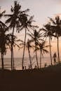 剪影不露面的人在雄伟的日落期间，在棕榈树附近的海滩和平静的风景大海上休息
