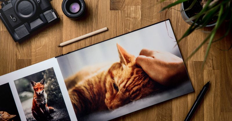 Abonnés, tailles d’images, budgets : les chiffres du web au quotidien