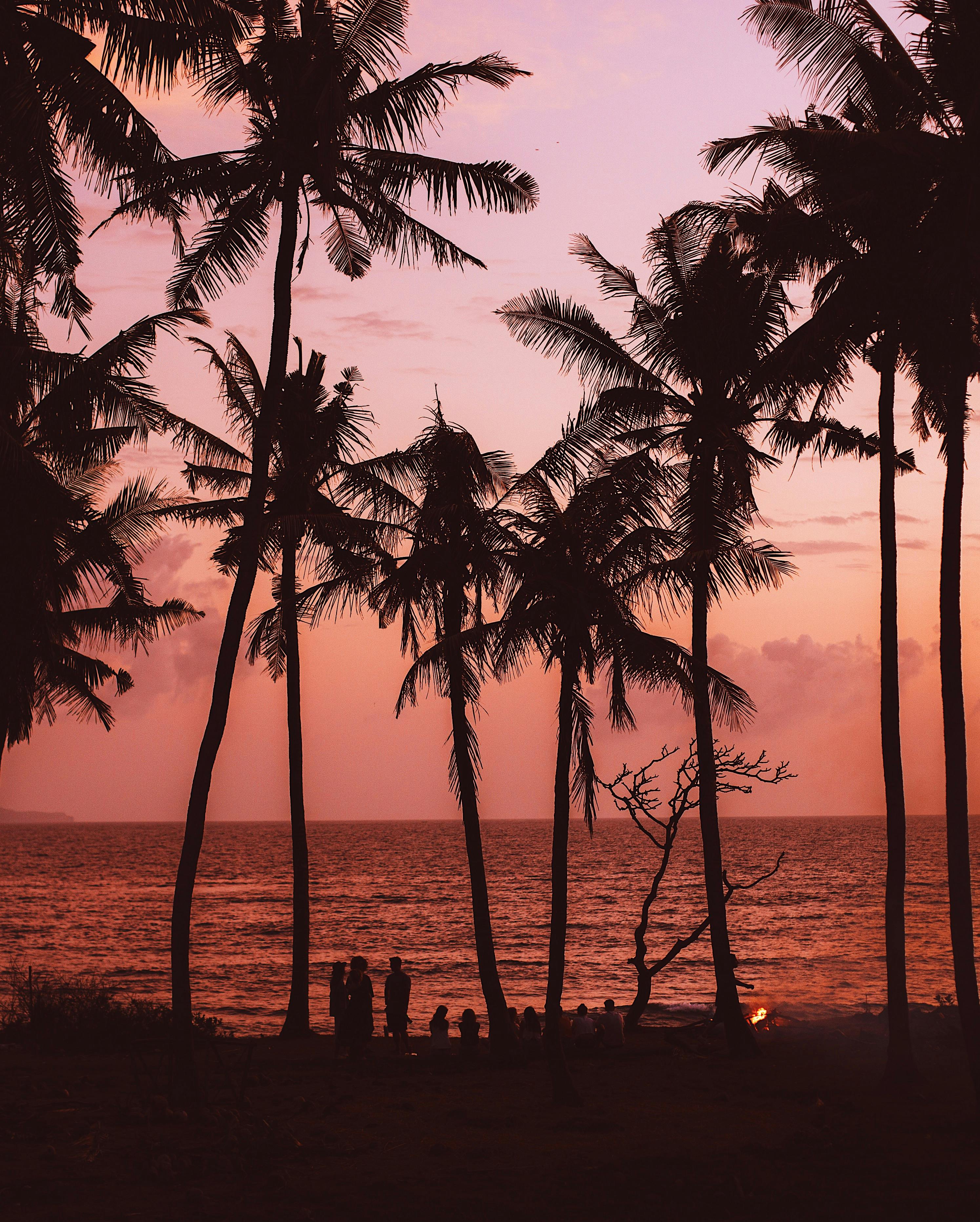 group of people enjoying evening on beach