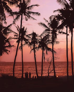 Silhouettes of people enjoying evening on exotic beach surrounded by palms and campfire near calm sea against majestic bright purple sky during sunset