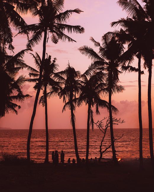 Silhouettes of people enjoying evening on exotic beach surrounded by palms and campfire near calm sea against majestic bright purple sky during sunset