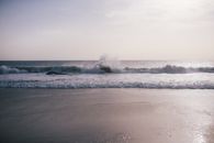 Waves Crushing on the Seashore 