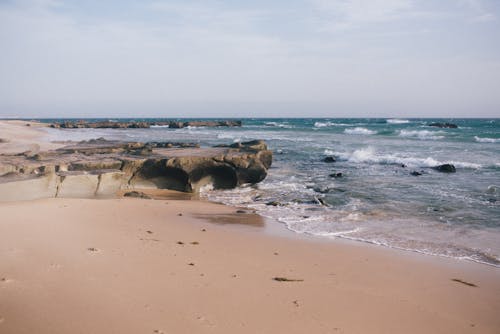 Gratis Pantai Pasir Coklat Foto Stok