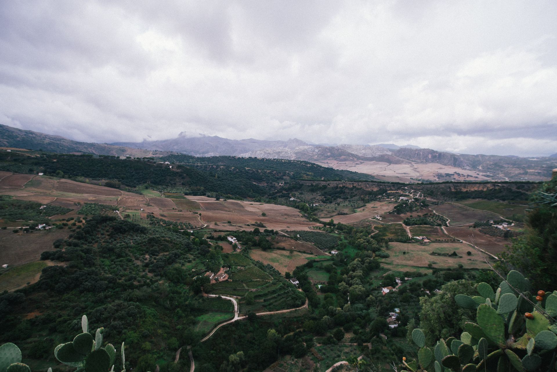 A broad view of a rural landscape with fields, cacti, and distant mountains on a cloudy day.