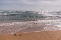 People on Beach