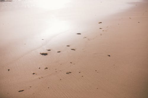 Белый песок со следами