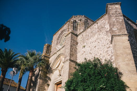 蔚蓝的天空下，一座哥特式大教堂被棕榈树包围，呈现低角度视图