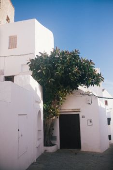 建筑立面洁白美丽，绿树成荫，门口漆黑，户外场景