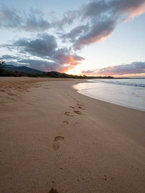 Distant shoreline with footprints goes across water and fresh green forest located nearby under clouds covering sunset