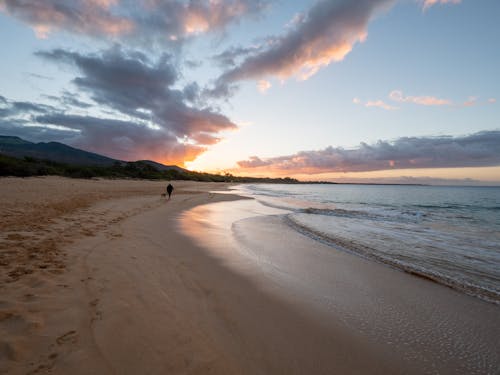 Picturesque view of sea waves rolling calmly on shore with green forest under clouds in sky at sunset