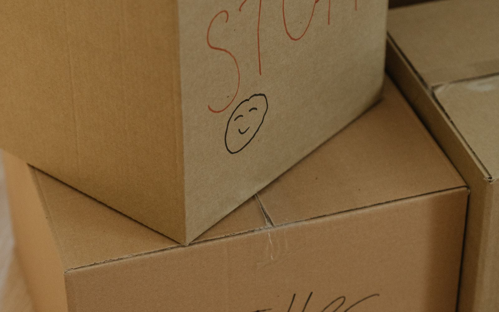 Labelled cardboard cartons ready for moving day