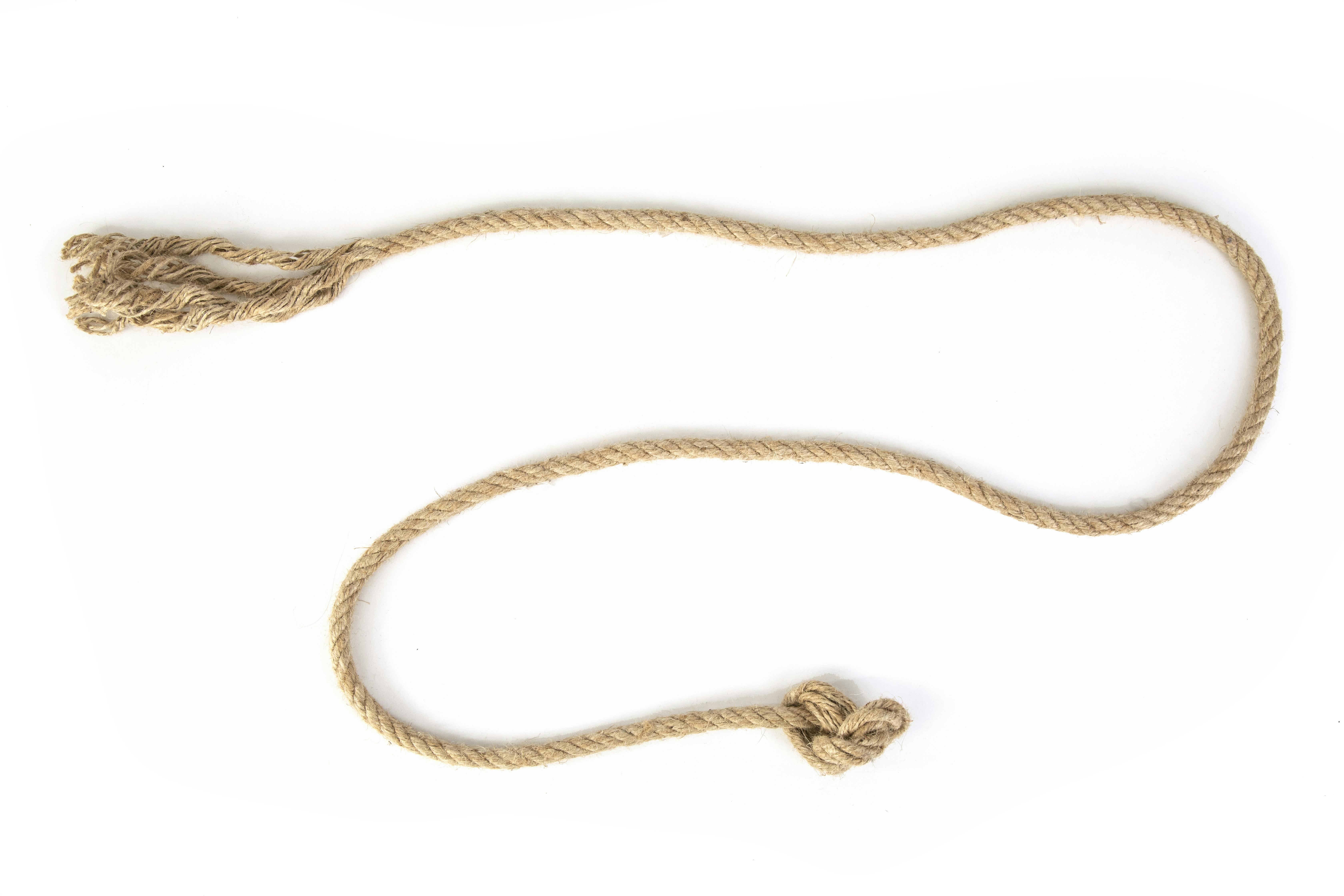 20+ Best Free Lasso Stock Photos &amp; Images · 100% Royalty-Free HD Downloads