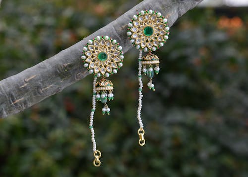 Stylish earrings hanging on tree branch