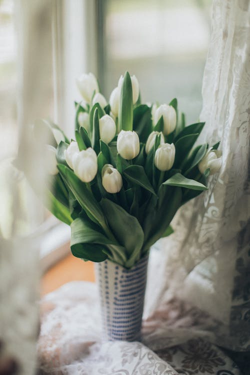 Vase with white tulips on windowsill