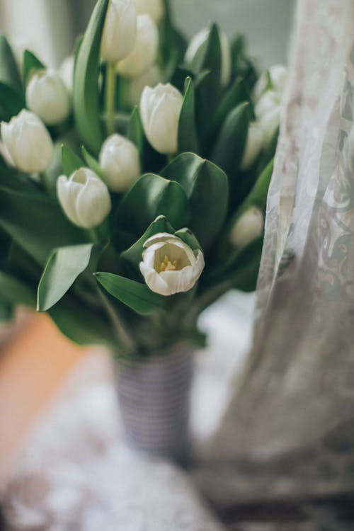 Free White flowers in vase on table Stock Photo