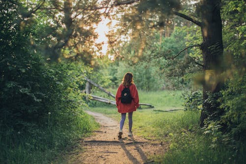 Free Full body back view of unrecognizable young female walking on pathway in green dense grove Stock Photo