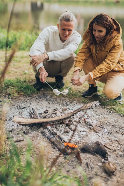 Gratis stockfoto met bonfire, Bos, bossen