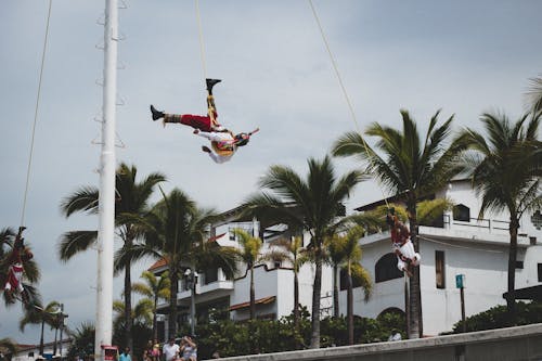 From below of anonymous acrobats in uniforms performing show trick while hanging on string against stone building near green palms