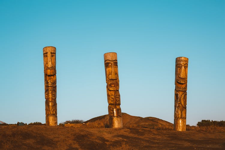 Ancient Wooden Pagan Statues In Dry Plain