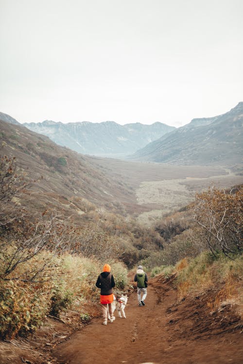 Unrecognizable travelers walking along path through mountains