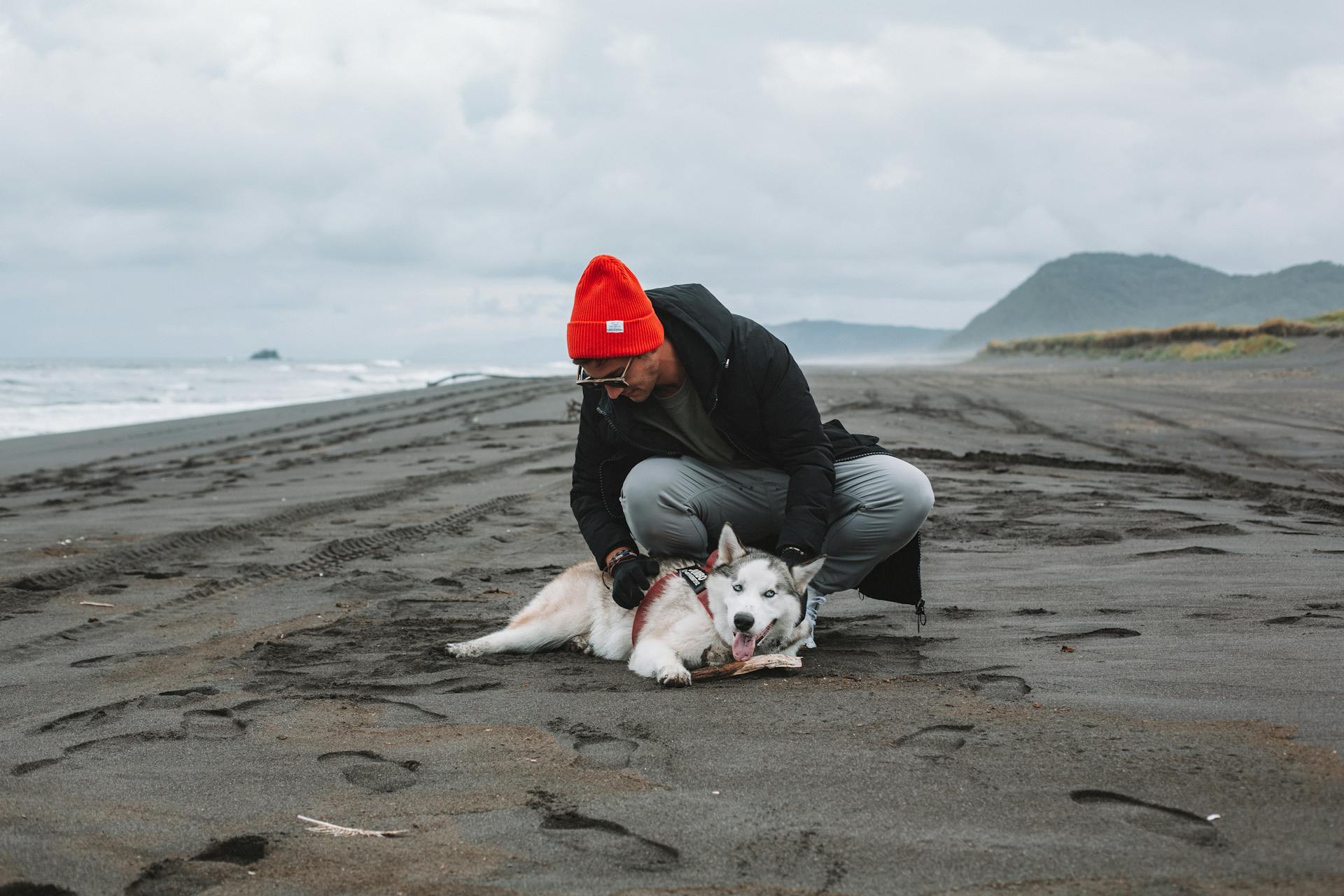 Male in warm hat and coat wearing sunglasses playing with cute Husky on wet sandy beach on overcast day