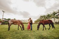 Couple kissing on green field and standing near horses