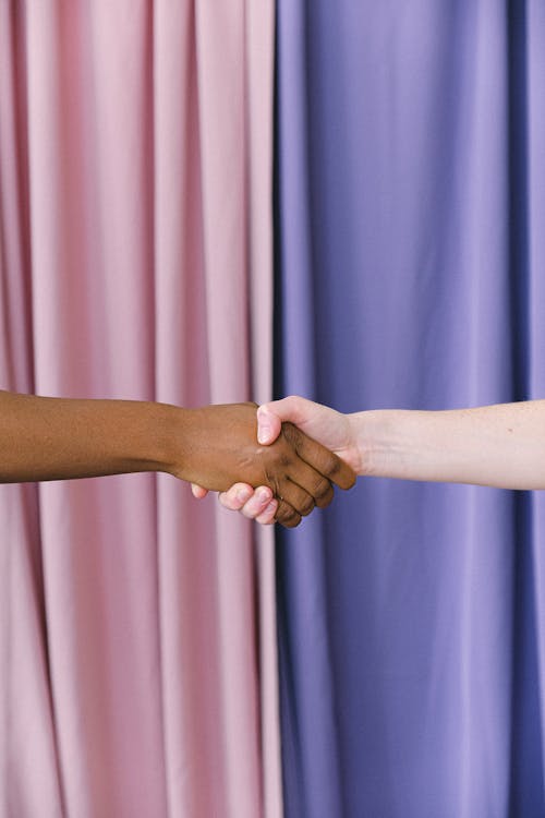 Free Interracial Hands of People Shaking  Stock Photo