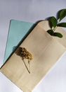 Envelopes with flower and leaves on table