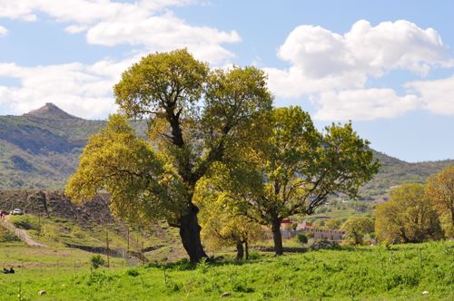 Free stock photo of sangar Stock Photo