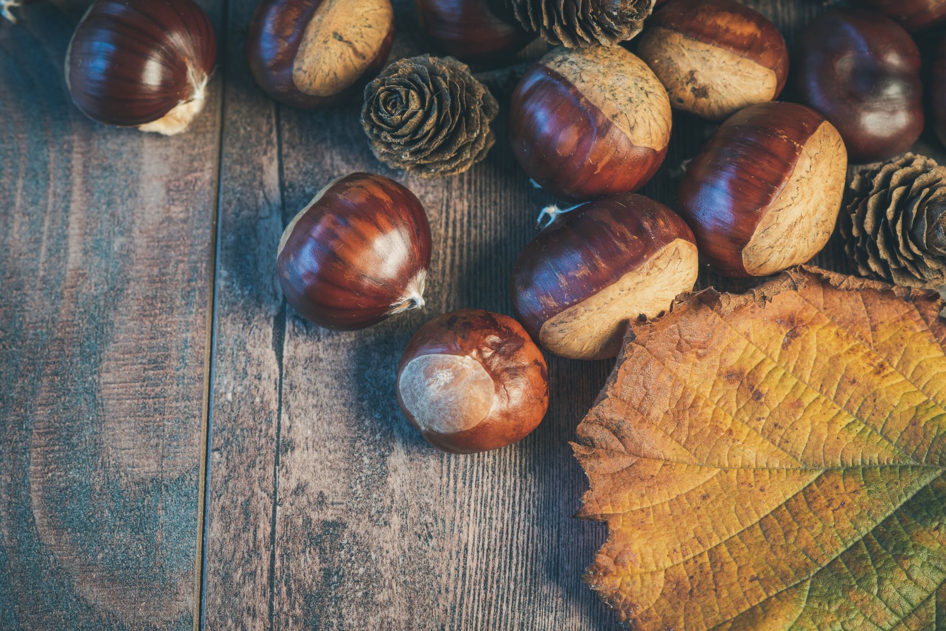 Chestnuts Near Dry Leaf on Gray Wooden Table