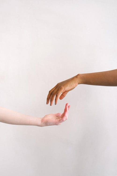Free Interracial Persons Hands Facing Each other Stock Photo
