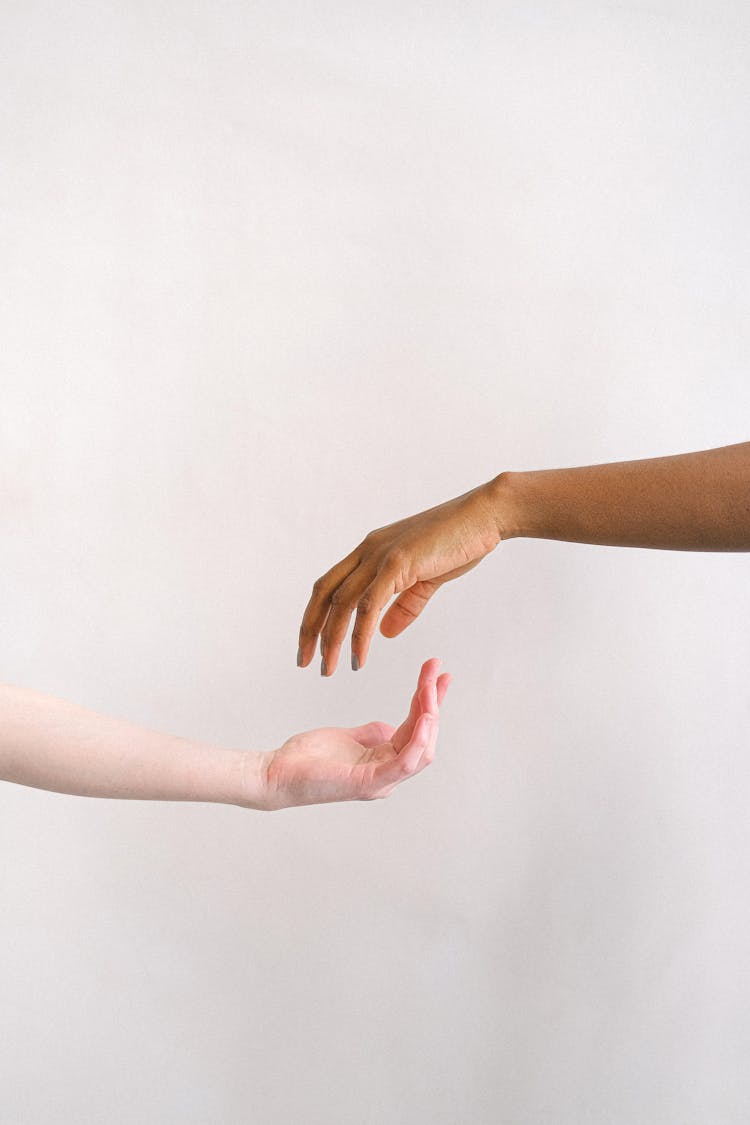 Interracial Persons Hands Facing Each Other