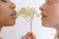 两位来自不同种族的女性亲密地分享着一枝鲜花，象征着爱与团结
