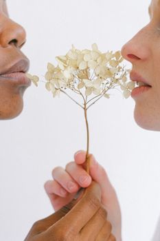 白色背景上的干花与一对跨种族夫妇的特写镜头分享着微妙时刻
