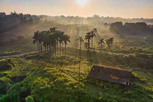 Stunning aerial photo of the Gunung Sindur countryside with sunbeams and mist.