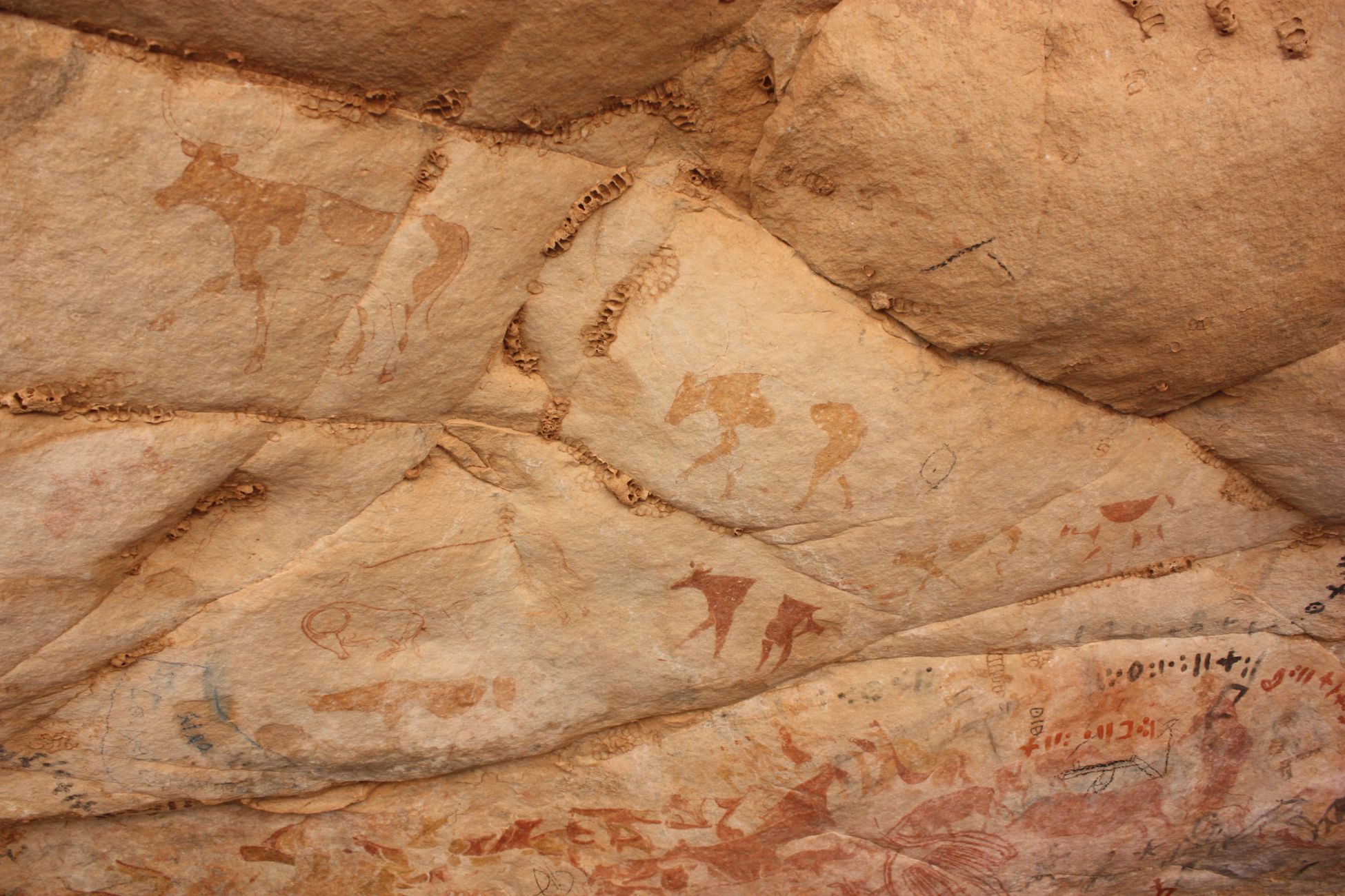 Nieuw onderzoek naar sporen van neanderthalers in Maastricht