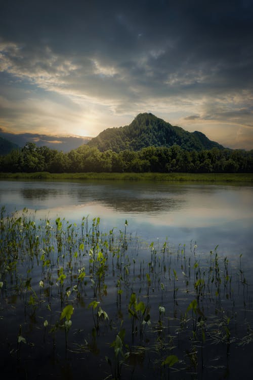 Beautiful Green Mountain Near Water