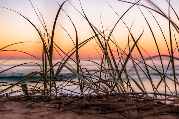 Smart security camera