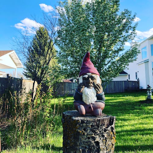 Free stock photo of garden, gnome
