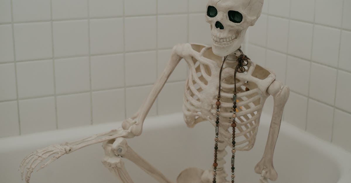 White skeleton with long chaplet sitting in bath without water in bathroom with white tiles on wall