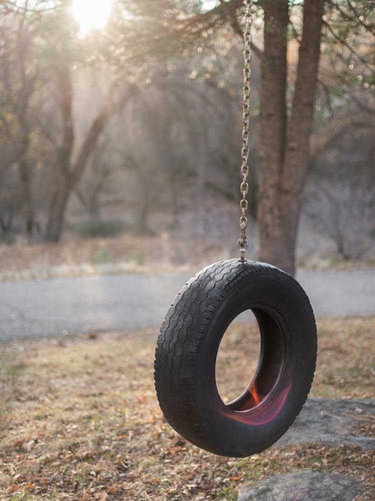 Empty Tire Swing On Sunny Autumn Day